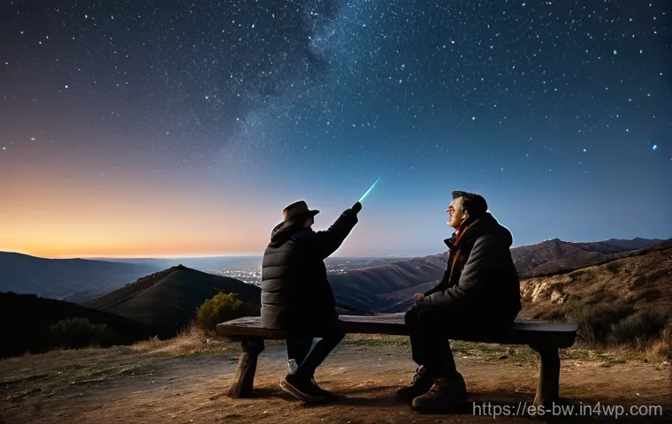 천문 관광 관련 법규 및 지침 - **Prompt 2: Astrophotography in a Pristine Dark Sky Park**
    "A captivating image of a solo astrop...